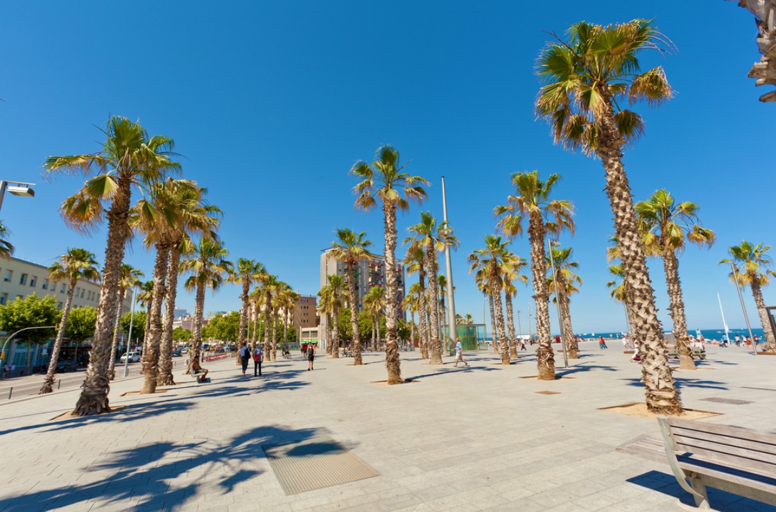 Barceloneta playa
